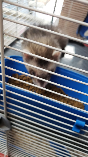 Pet Store «V.I. Pets», reviews and photos, 11975 E Lakewood Blvd, Holland, MI 49424, USA