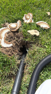 Wildlife Management Services LLC - Photo 3 - Car repair in , Hartford