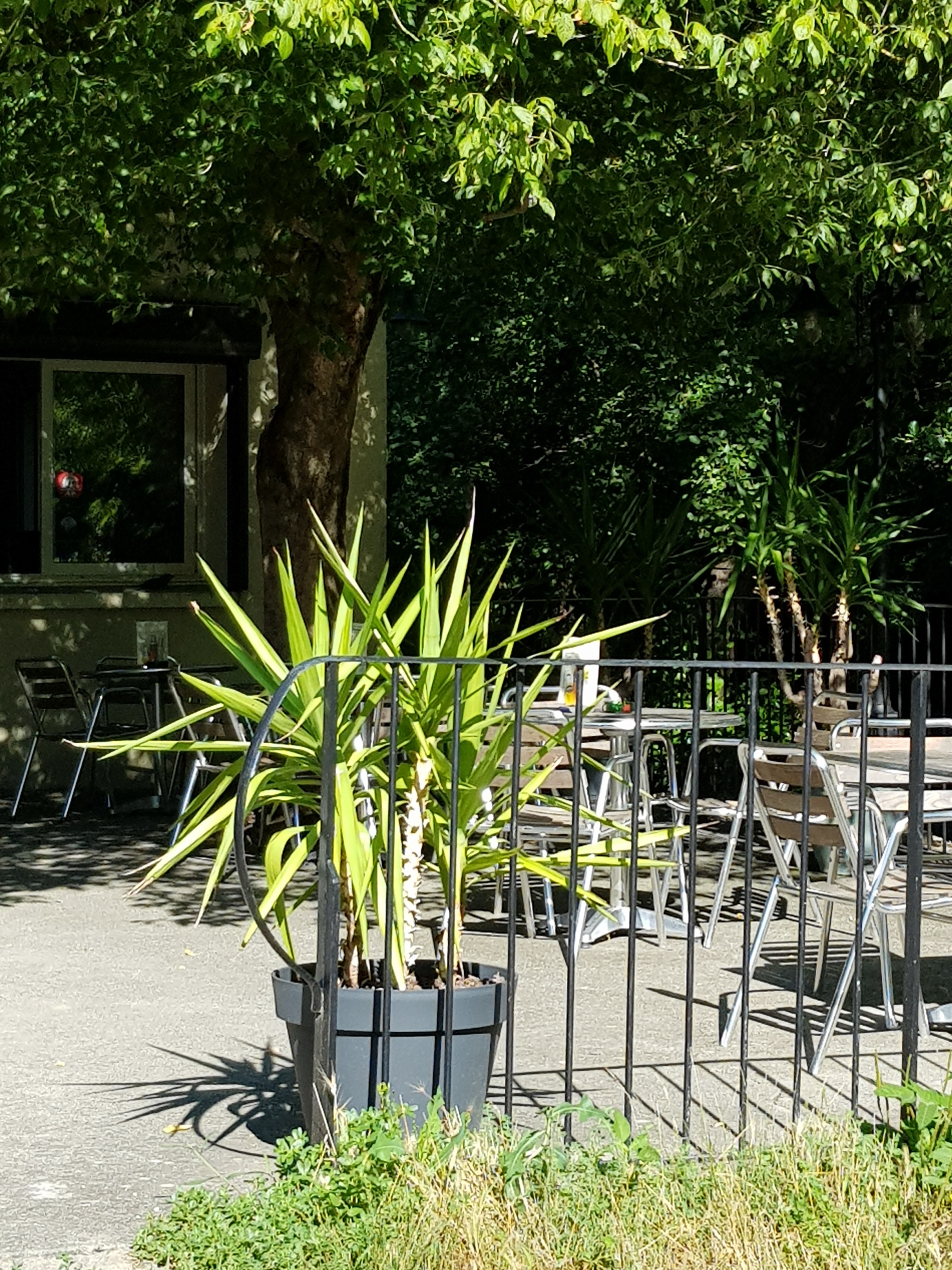 Photo n° 3 de l'avis de Nelly.I fait le 31/07/2018 à 15:17