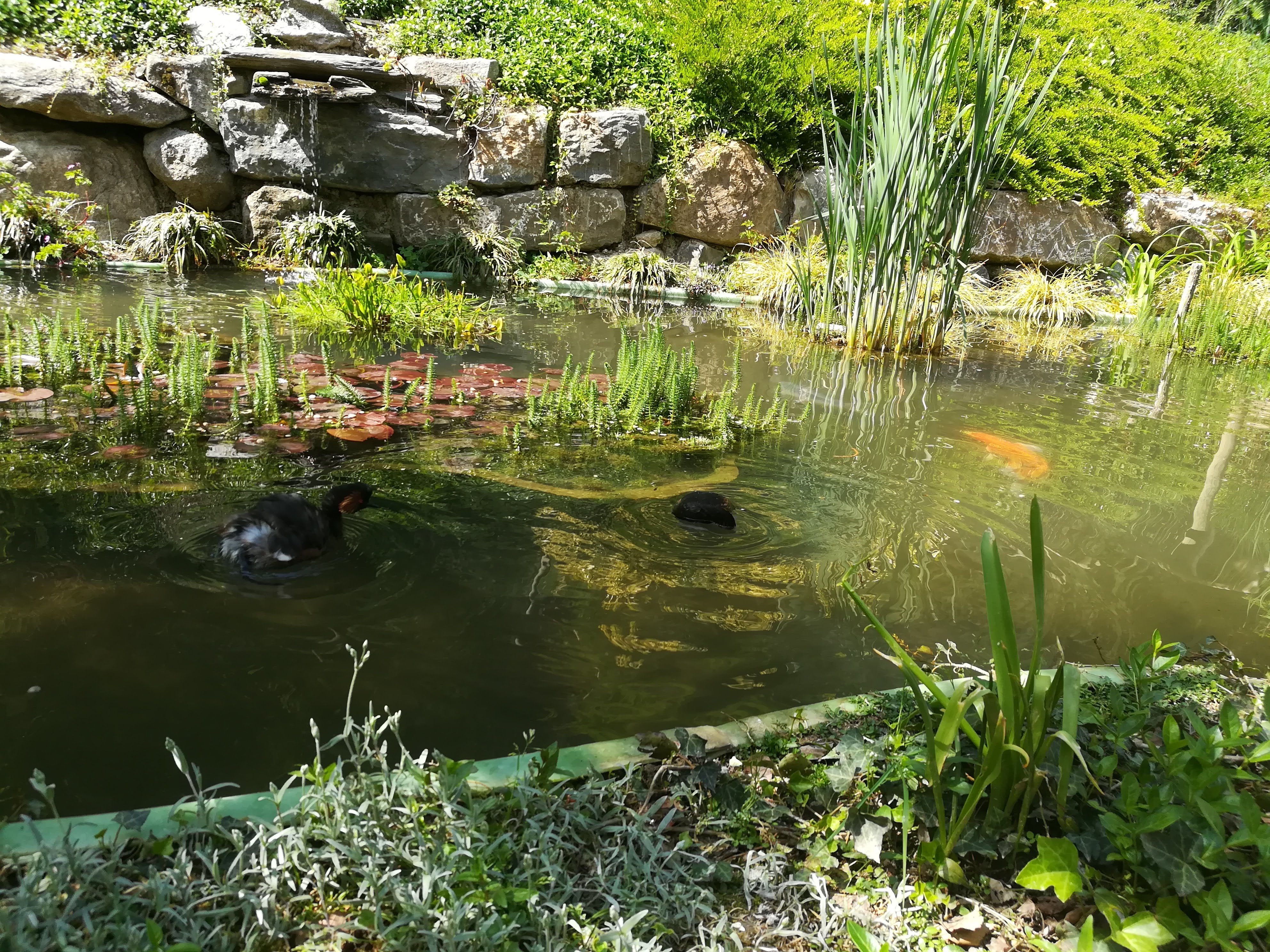 Photo n° 31 de l'avis de Sarah.L fait le 21/04/2018 à 18:44