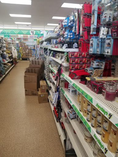Dollar Store «Dollar Tree», reviews and photos, 8653 Columbus Pike, Lewis Center, OH 43035, USA