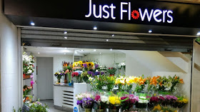 Just Flowers Las Condes