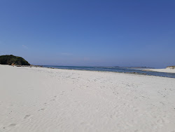 Foto de Plage de Kerbrat área selvagem