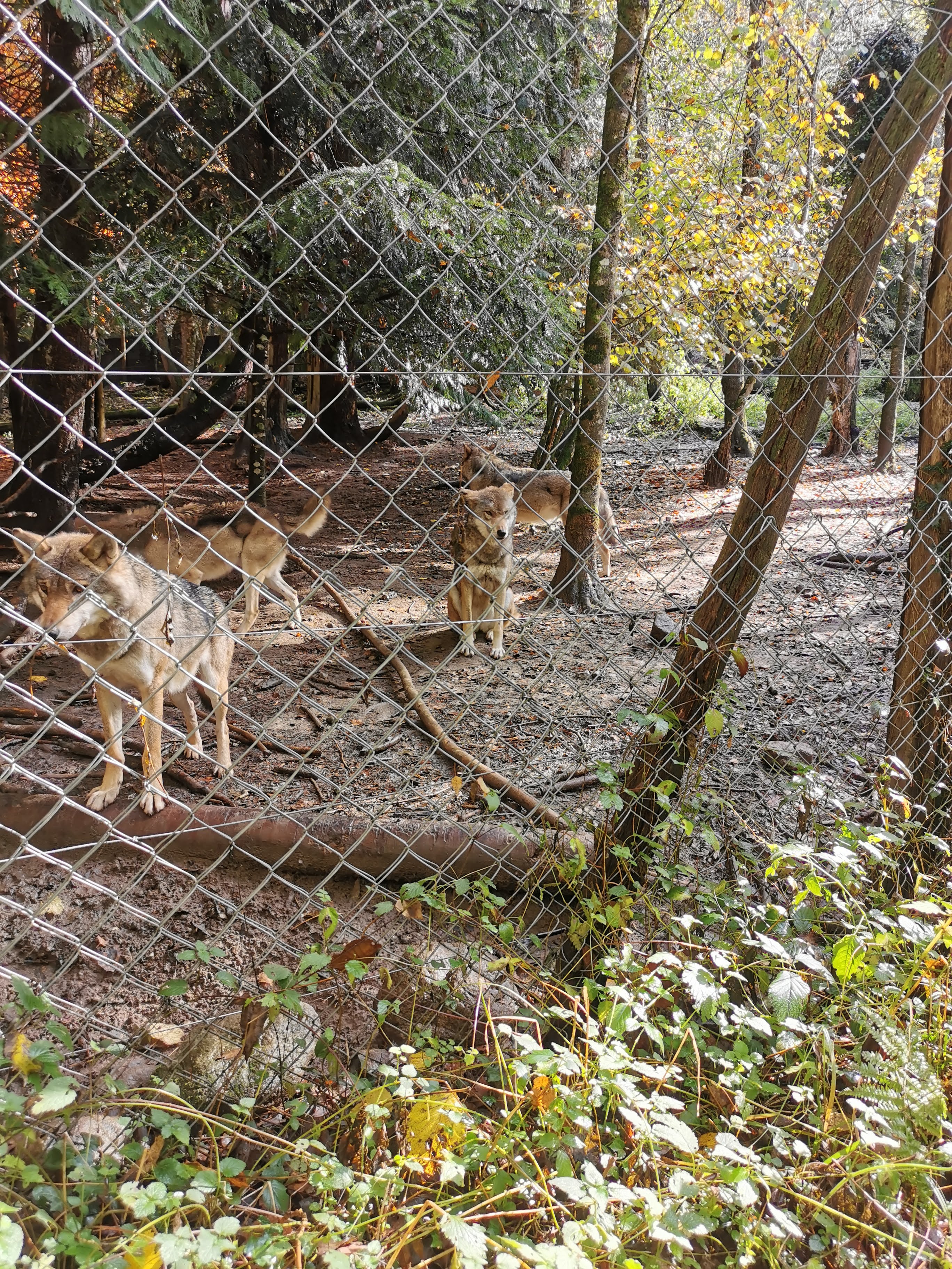 Photo n° 9 de l'avis de sandrine.e fait le 17/11/2019 à 11:04
