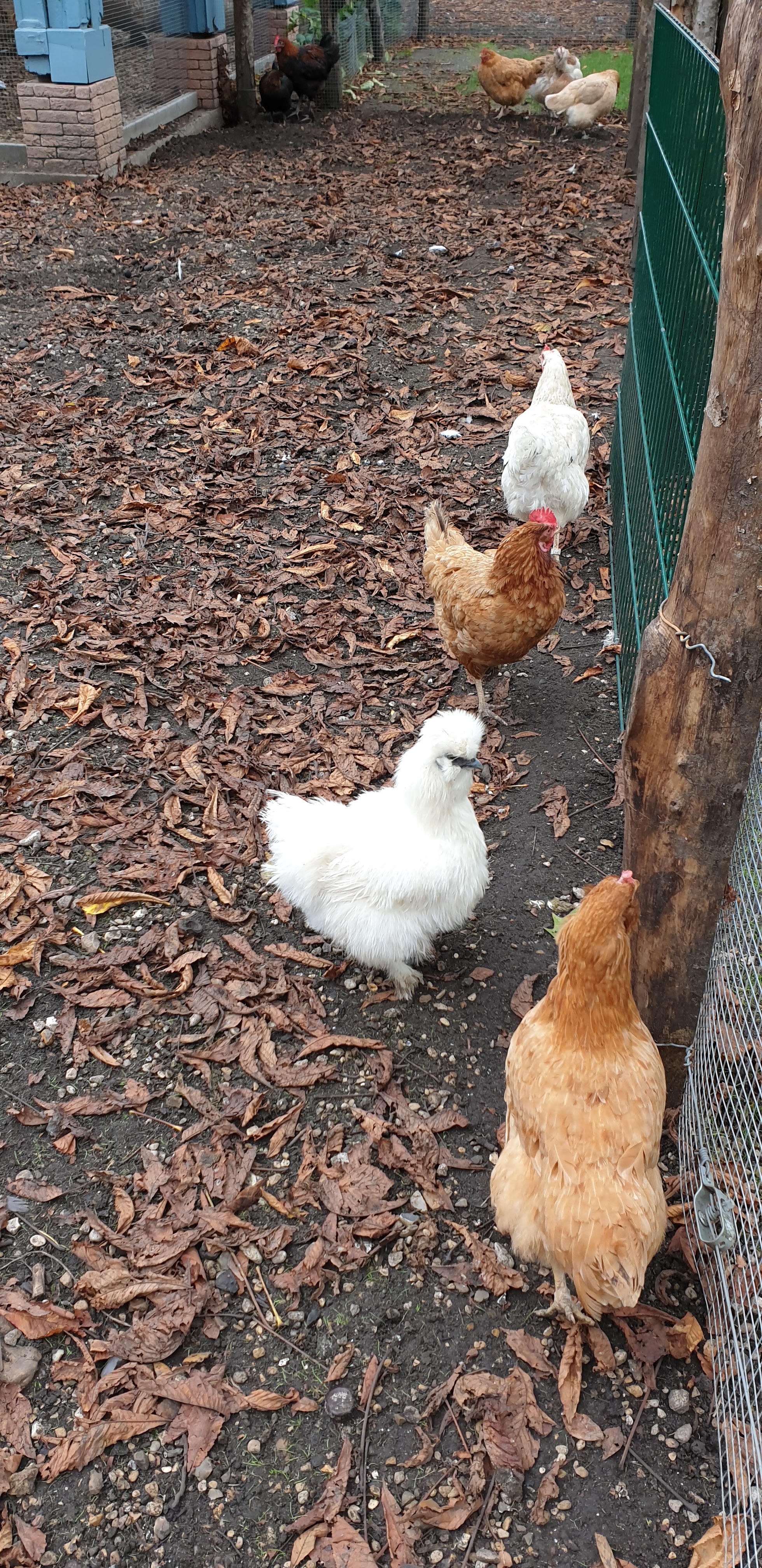 Photo n° 50 de l'avis de Julien.' fait le 23/10/2019 à 14:35