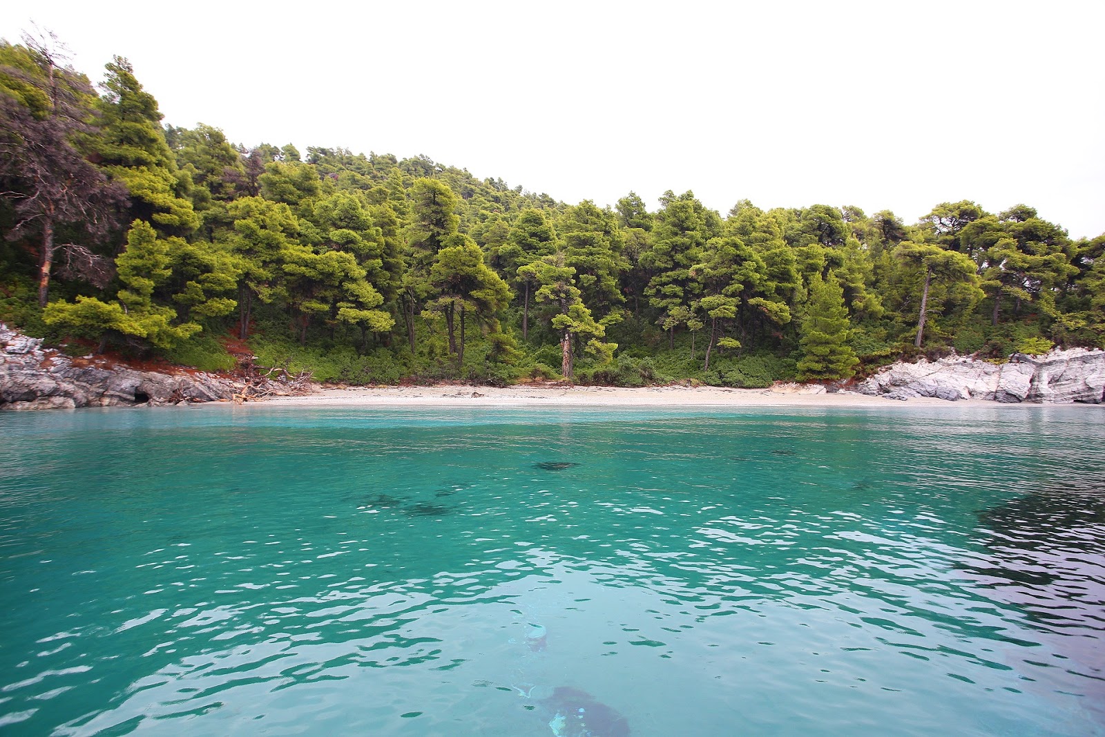 Ftelia beach'in fotoğrafı turkuaz saf su yüzey ile