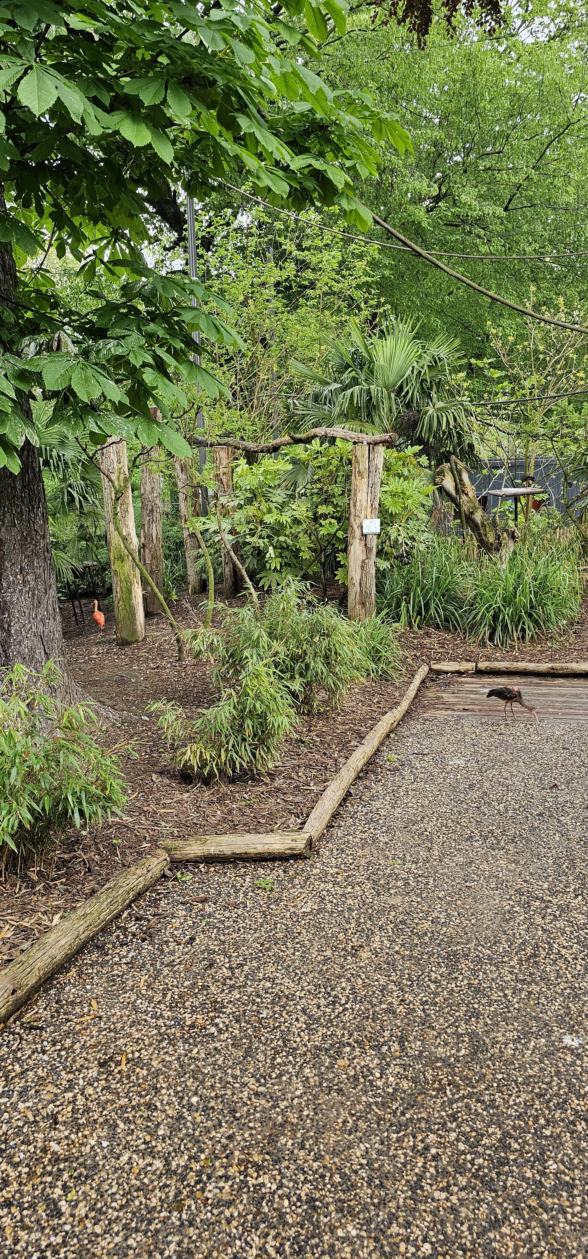 Photo n° 5 de l'avis de yaya.a fait le 15/05/2023 à 16:30