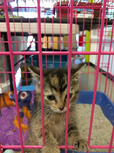 Pet Supply Store «Petco Animal Supplies», reviews and photos, 5925 US-6, Portage, IN 46368, USA