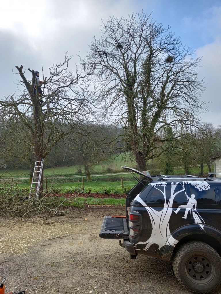 Photo n° 1 de l'avis de Valérie.o fait le 20/03/2022 à 19:39