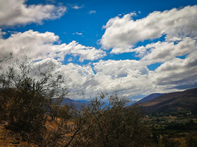 Teléfono de La Espiga