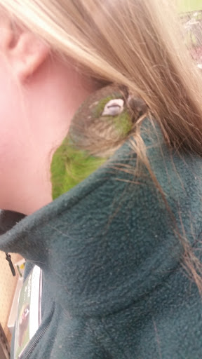 Pet Supply Store «Pet Supplies Plus», reviews and photos, 955 Co Rd E East #100, Vadnais Heights, MN 55127, USA