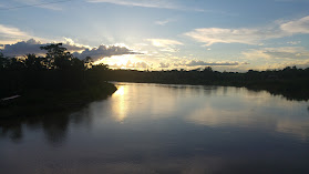 Puente Rio Paranapura