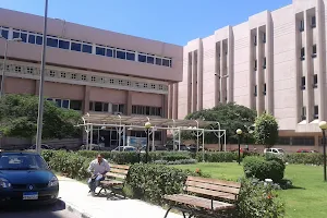 Smouha University Emergency Hospital image