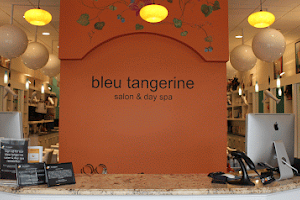 Bleu Tangerine Salon & Day Spa image