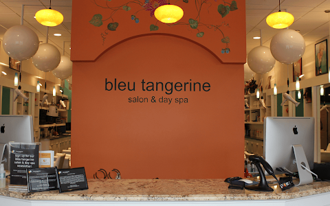 Bleu Tangerine Salon & Day Spa image
