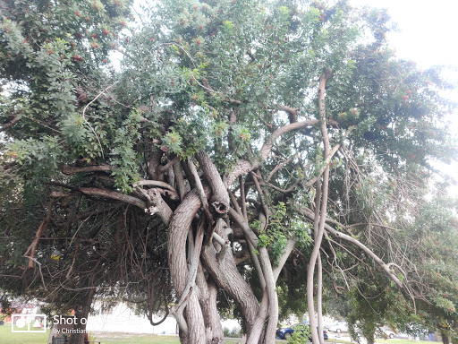 Self-Storage Facility «Belleair Storage of Florida, LLC», reviews and photos, 1115 Ponce De Leon Blvd, Belleair, FL 33756, USA