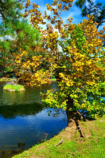 Tourist Attraction «Black Raven Pirate Ship», reviews and photos, 111 Avenida Menendez, St Augustine, FL 32084, USA