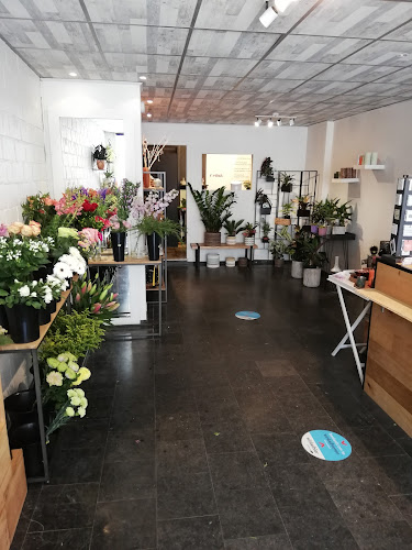 Amor Illy´S Bloemen & Decoratie