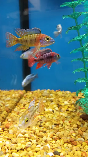 Pet Supply Store «Petco Animal Supplies», reviews and photos, 8551 S Howell Ave, Oak Creek, WI 53154, USA