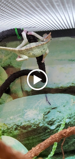 Pet Supply Store «Petco Animal Supplies», reviews and photos, 353 Harrison Bridge Rd, Simpsonville, SC 29680, USA