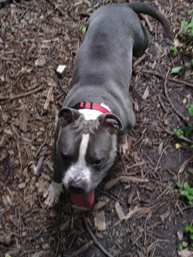 Park «Grandview Park», reviews and photos, 3230 Easton Blvd, Des Moines, IA 50317, USA