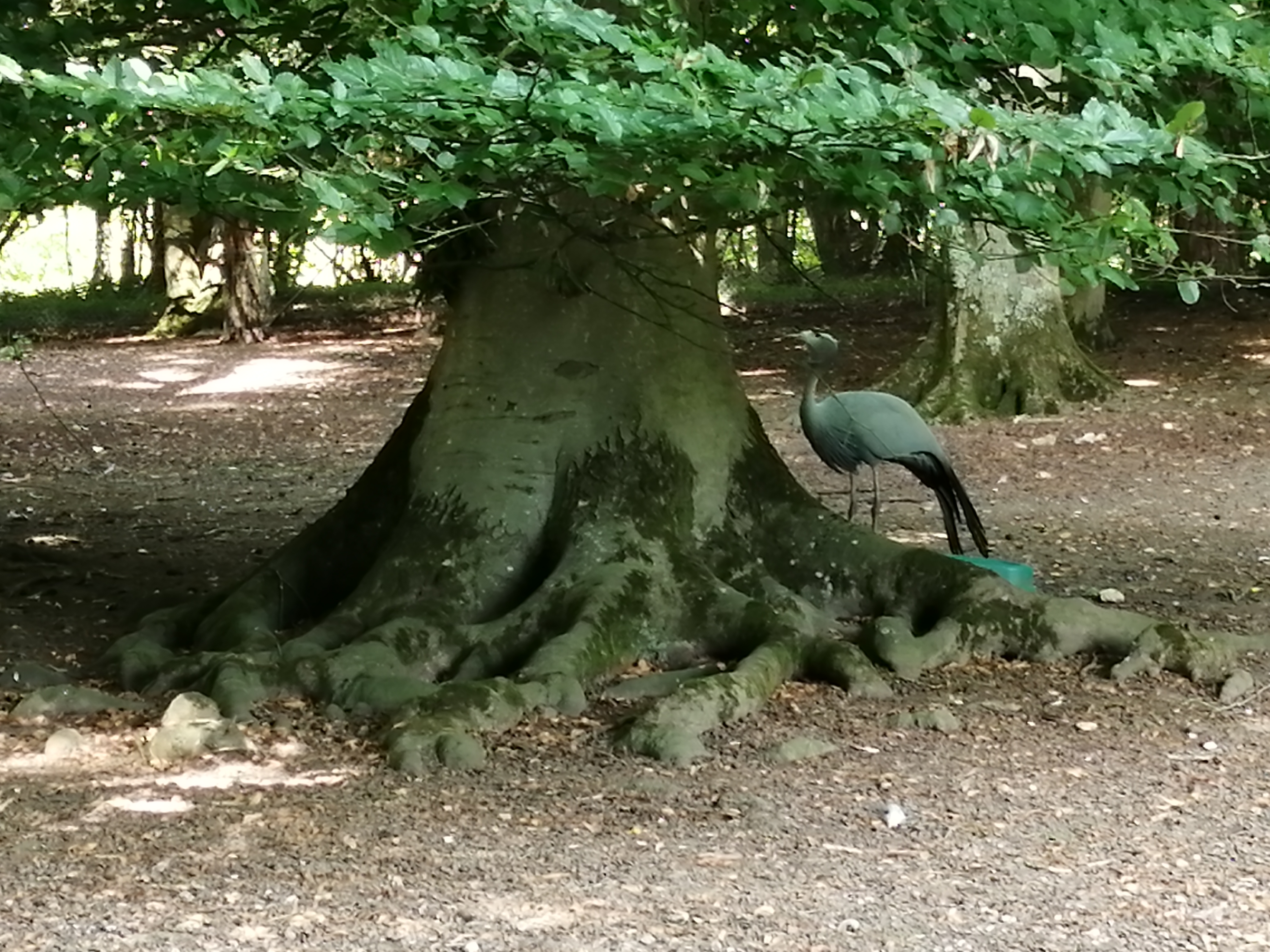 Photo n° 3 de l'avis de Virginie.o fait le 23/08/2019 à 20:35