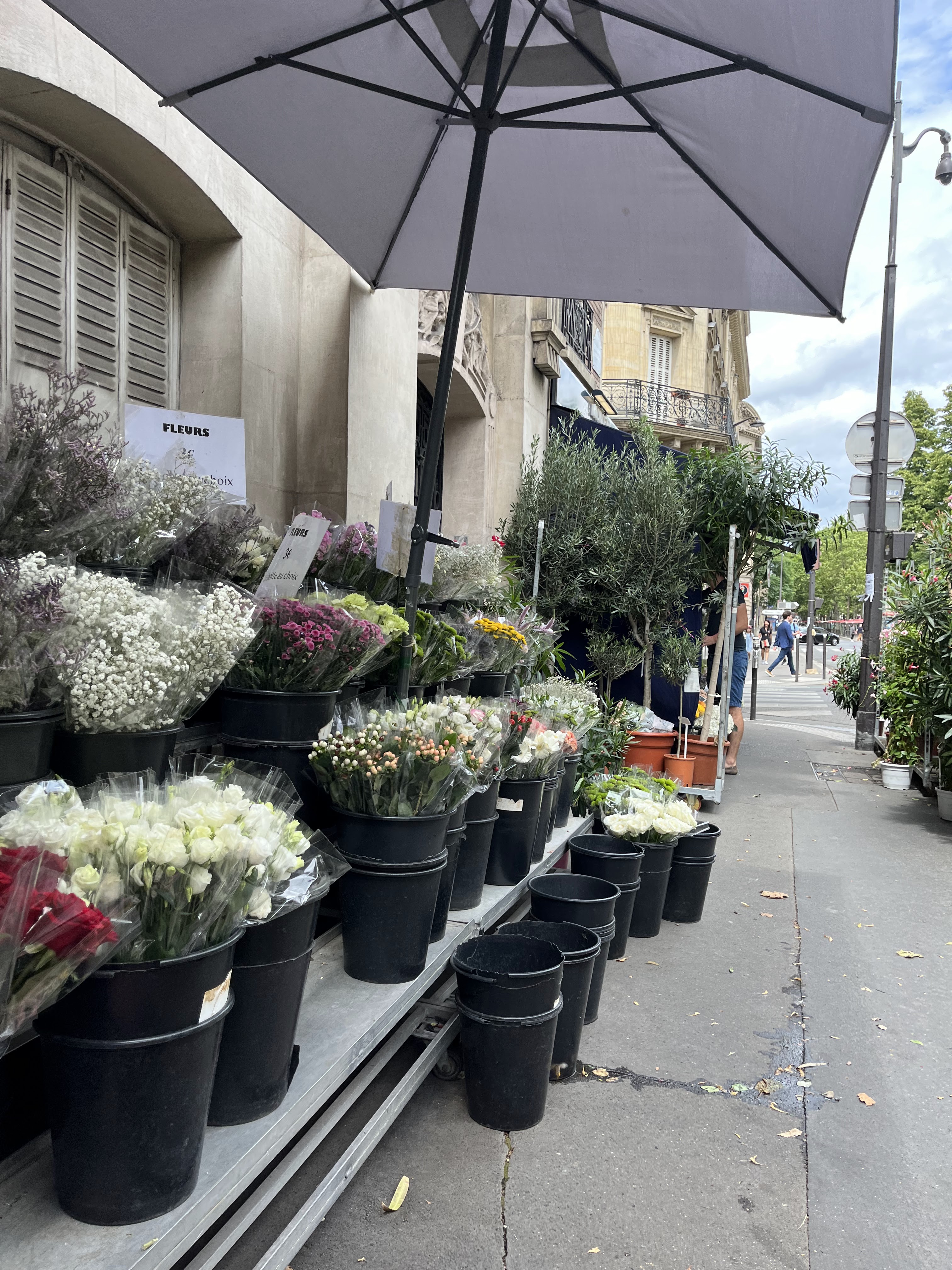 Photo n° 2 de l'avis de Maïlys.E fait le 17/08/2023 à 13:49