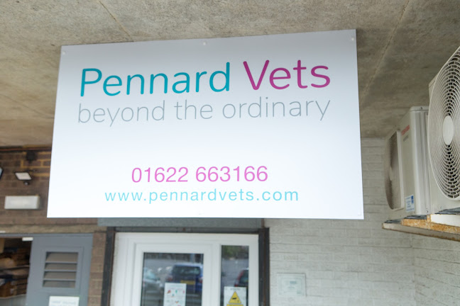 Comments and reviews of Pennard Vets Allington