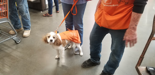 Home Improvement Store «The Home Depot», reviews and photos, 5500 AZ-69, Prescott Valley, AZ 86314, USA