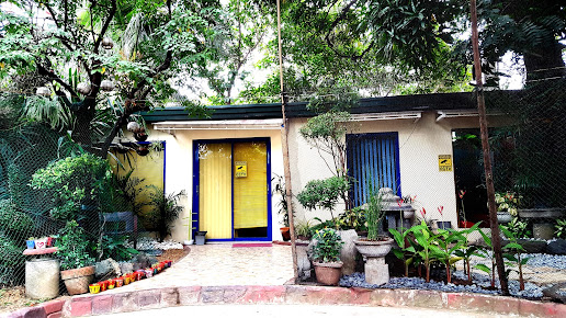 The Randy Dellosa Wellness Center - The Randy Dellosa Wellness Center