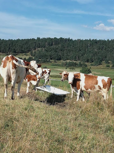 Ferme du Rialet à La Llagonne