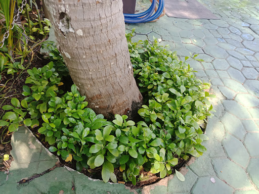 Top 20 cửa hàng air space Quận 11 Hồ Chí Minh 2022