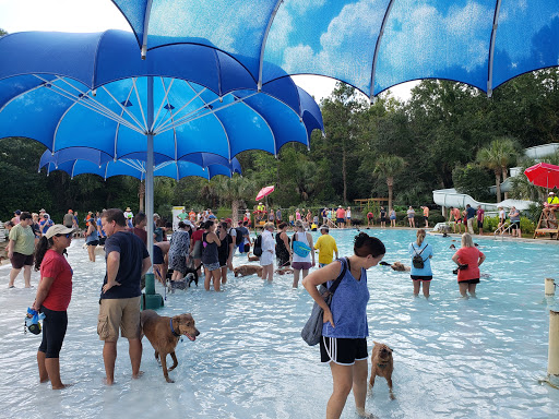 Water Park «Splash Island Waterpark», reviews and photos, 444 Needlerush Pkwy, Mt Pleasant, SC 29464, USA