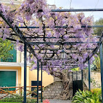 Photo n°1 de l'avis de Angela. fait le 18/04/2023 à 19:10 sur le  Grand Hotel Capodimonte à Sorrento