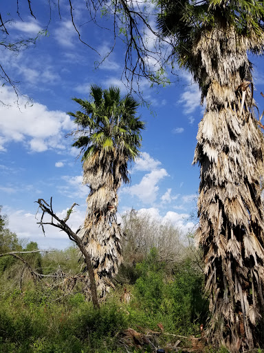 Nature Preserve «McAllen Nature Center», reviews and photos, 4101 U.S. 83 Business, McAllen, TX 78501, USA