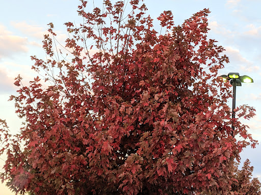 Grocery Store «ShopRite of Waretown», reviews and photos, 501 U.S. 9 #100, Waretown, NJ 08758, USA