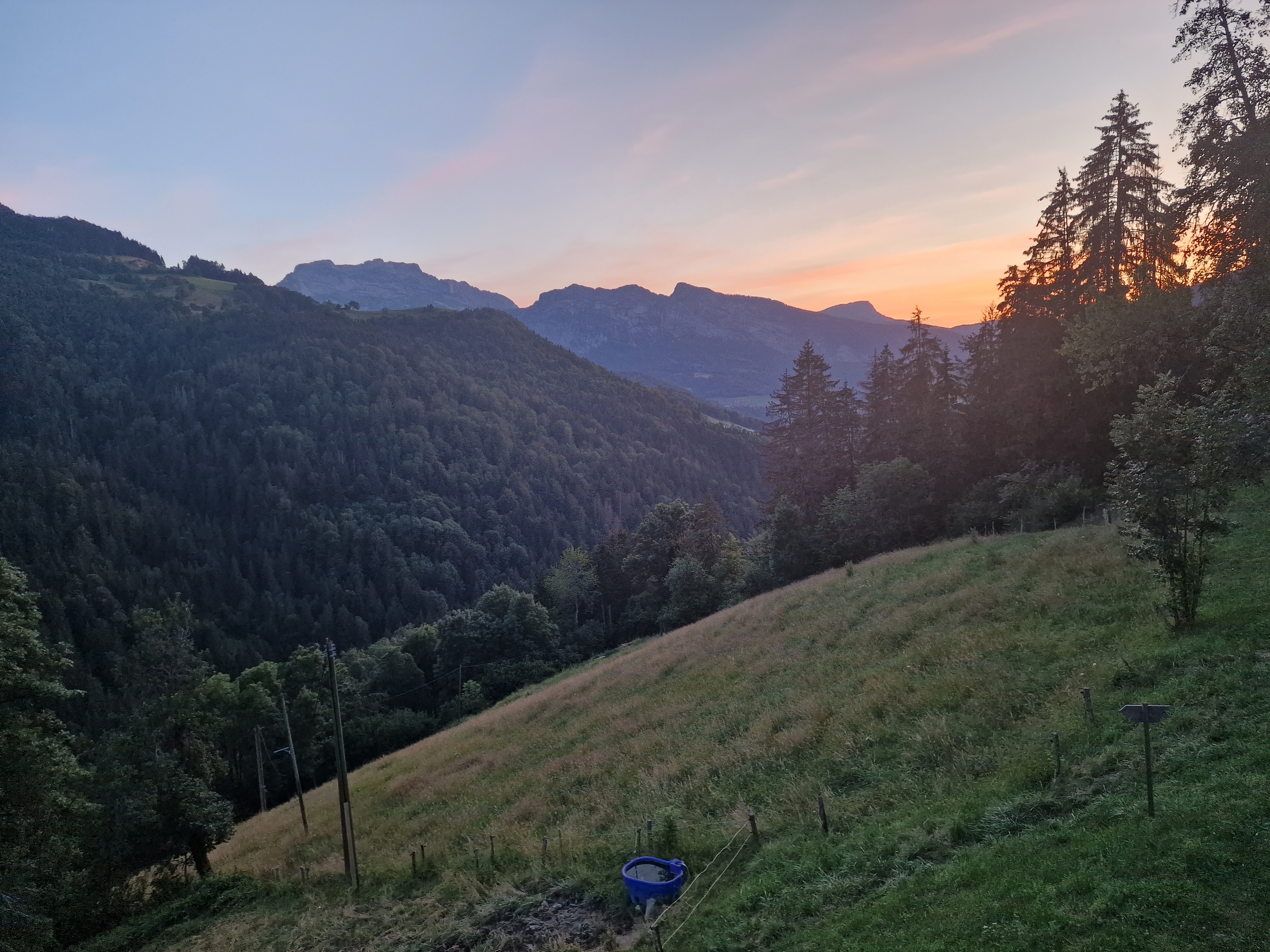 Photo n° 1 de l'avis de Laure.e fait le 14/07/2023 à 18:40