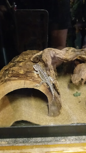 Pet Store «Animal Attraction», reviews and photos, 2518 11th Ave, Greeley, CO 80631, USA