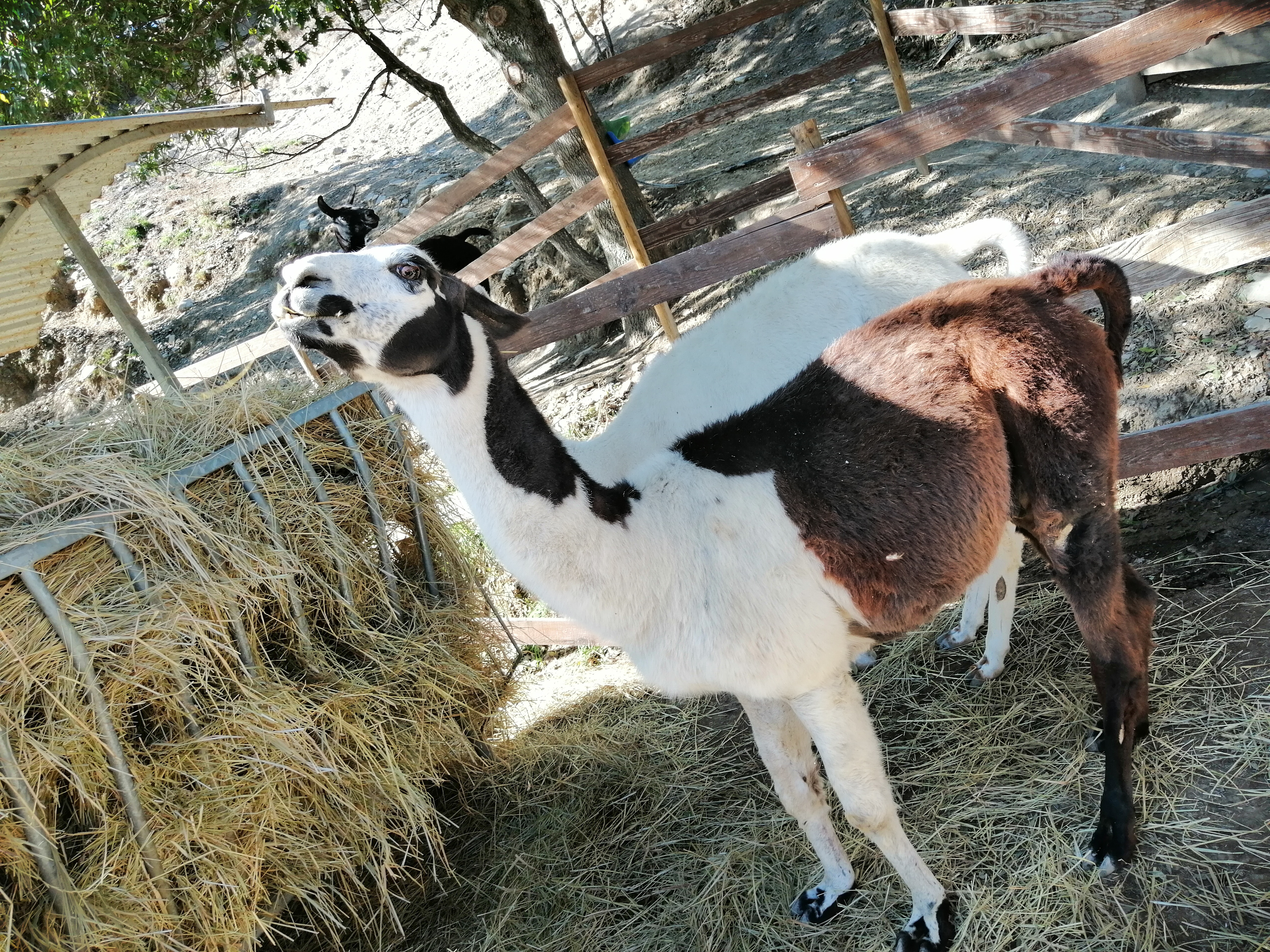 Photo n° 5 de l'avis de veronique.a fait le 26/10/2019 à 05:53