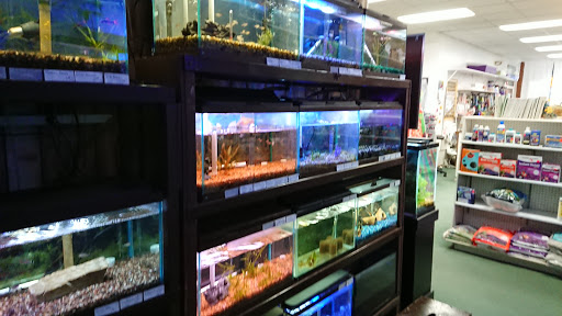 Pet Store «Aquatic Pets», reviews and photos, 414 Division St S, Northfield, MN 55057, USA