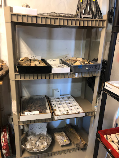 Gift Shop «Stone Hut Fossil Shop», reviews and photos, 1184 FM 205, Glen Rose, TX 76043, USA