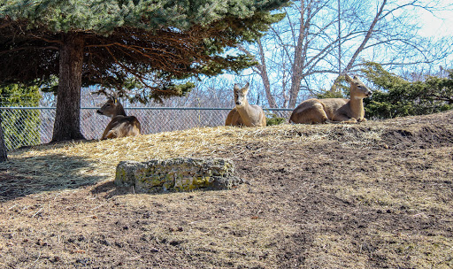 Tourist Attraction «Fond Du Lac Lighthouse», reviews and photos, Lighthouse Dr, Fond du Lac, WI 54935, USA