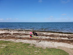 Green Bay Beach'in fotoğrafı çok temiz temizlik seviyesi ile