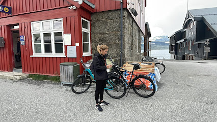 Bike Rental Rallarvegen