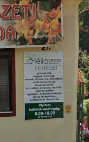 Hélia Kertészet - Kaposvár