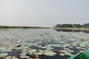 Kanvar Lake Bird Sanctuary image