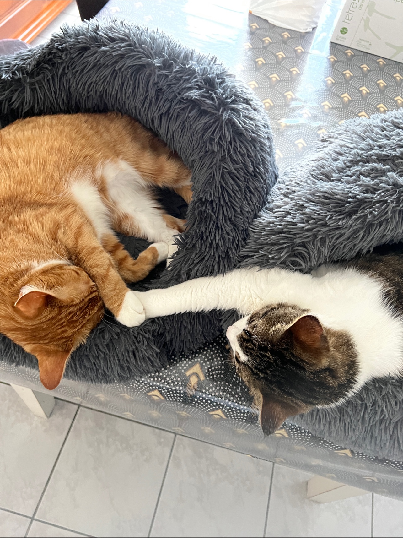 Photo n° 1 de l'avis de Yannick.h fait le 29/12/2019 à 14:16