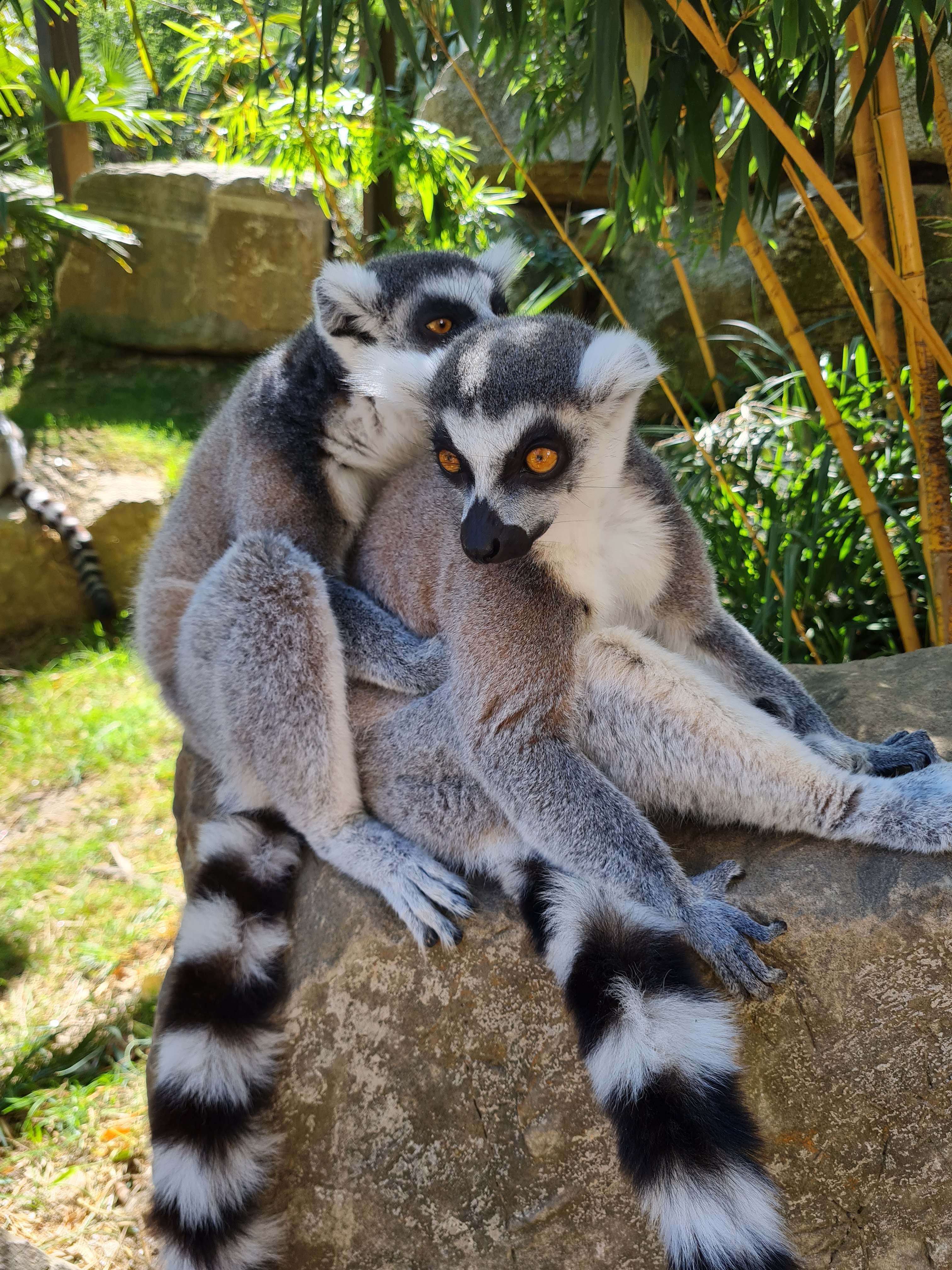 Photo n° 15 de l'avis de Marjo.e fait le 29/08/2021 à 18:20