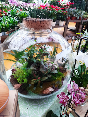 Clarac Jardinerie à Pamiers