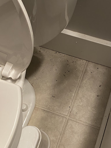 Plumber «Roto-Rooter Plumbing & Drain Services», reviews and photos, 4393 Clay Ave SW, Wyoming, MI 49548, USA